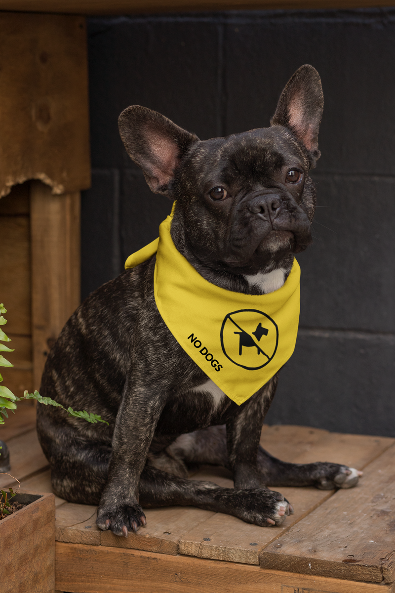 No dogs bandana sale