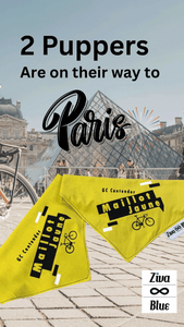 Pet Bandana - Le Tour