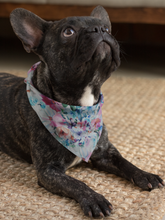 Pet Bandana - Regency on the Ton
