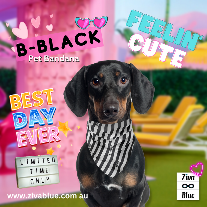 Pet Bandana - B-Black