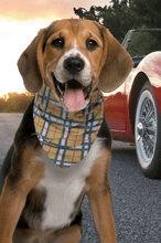 Pet Bandanas - Luxury Hound