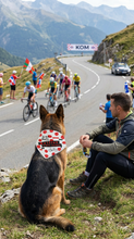 Pet Bandana - Le Tour