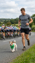 Pet Bandana - Le Tour