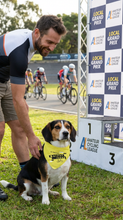 Pet Bandana - Le Tour