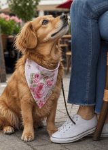 Pet Bandana - Regency on the Ton