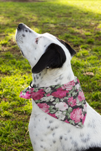 Pet Bandana - Regency on the Ton