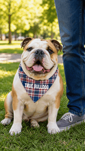 Pet Bandana - True Bulldog