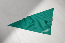 Pet Bandana - Classic Cars