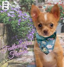 Pet Bandana - Regency on the Ton