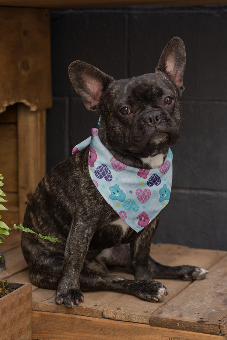 Pet Bandana - Care Bear Love