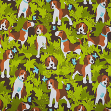 Neck Gaiters Limited Editions