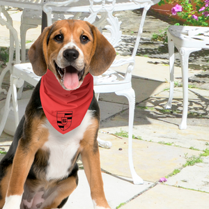 Pet Bandana - Classic Ride
