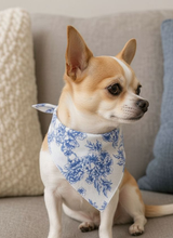 Pet Bandana - Regency on the Ton
