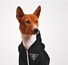 Pet Coats - Hound Hoodies