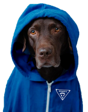 Pet Coats - Hound Hoodies