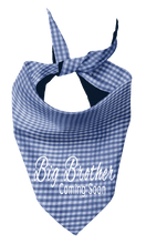 Pet Bandana - Big Brother