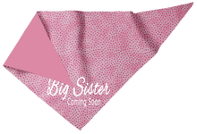 Pet Bandana - Big Sister