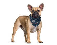 Pet Bandana - CFC - Navy Blues