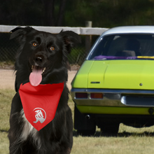 Pet Bandana - Classic Ride