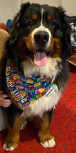 Pet Bandana - Happy Birthday- it's Pawty Time