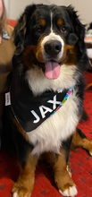 Pet Bandana - Happy Birthday- it's Pawty Time