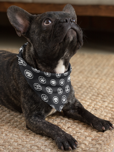 Pet Bandanas - Luxury Hound