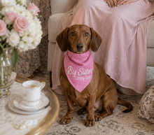 Pet Bandana - Big Sister