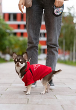 Pet Coats - Hound Hoodies