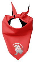 Pet Bandana - Classic Ride