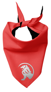 Pet Bandana - Classic Ride