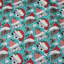 Paws & Claws Christmas