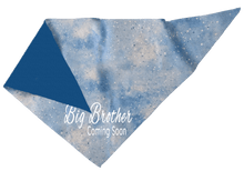 Pet Bandana - Big Brother