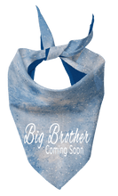 Pet Bandana - Big Brother