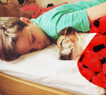 Pet Blanket - Warm & Fuzzies