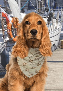 Pet Bandanas - Luxury Hound
