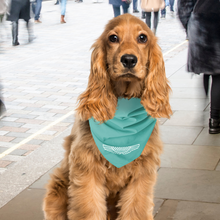 Pet Bandana - Classic Cars