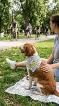 Pet Bandana - Le Tour