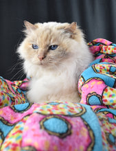Pet Blanket - Warm & Fuzzies