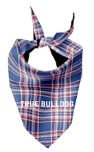 Pet Bandana - True Bulldog