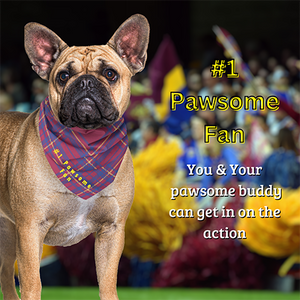 Pet Bandana - #1 Pawsome Fan