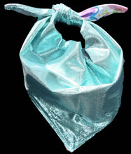 Pet Bandana -  Balloon Celebration