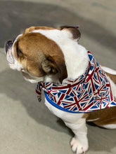 Pet Bandana - British Blue