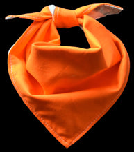 Pet Bandana -  Bunny Love