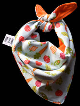 Pet Bandana - Carrots & Apples