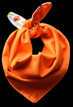 Pet Bandana - Carrots & Apples