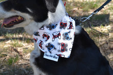 Pet Bandana - Pups in Sunnies