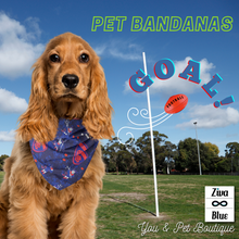 Pet Bandana - D's - Red and Blue