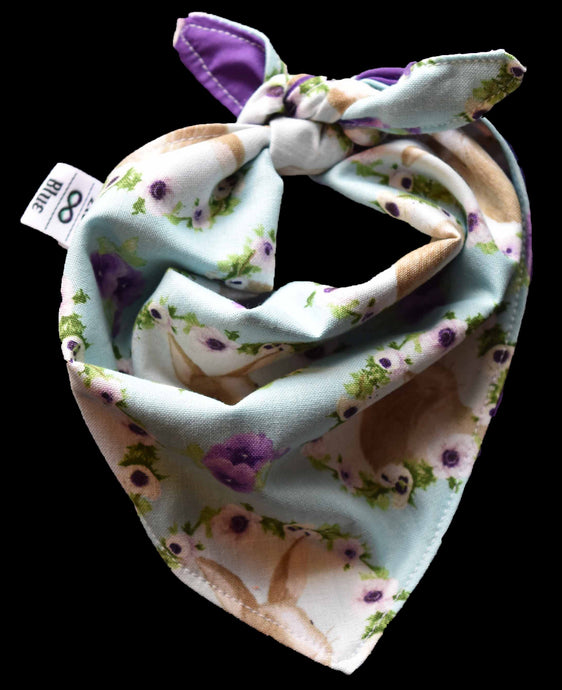 Pet Bandana - Hoppy Bunny