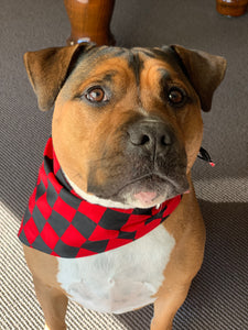 Pet Bandana - Checker Board
