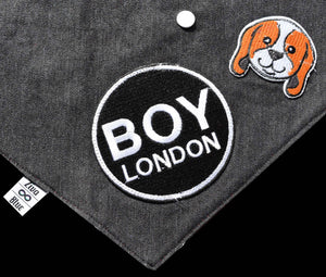 Pet Bandana - London Beagle Boy